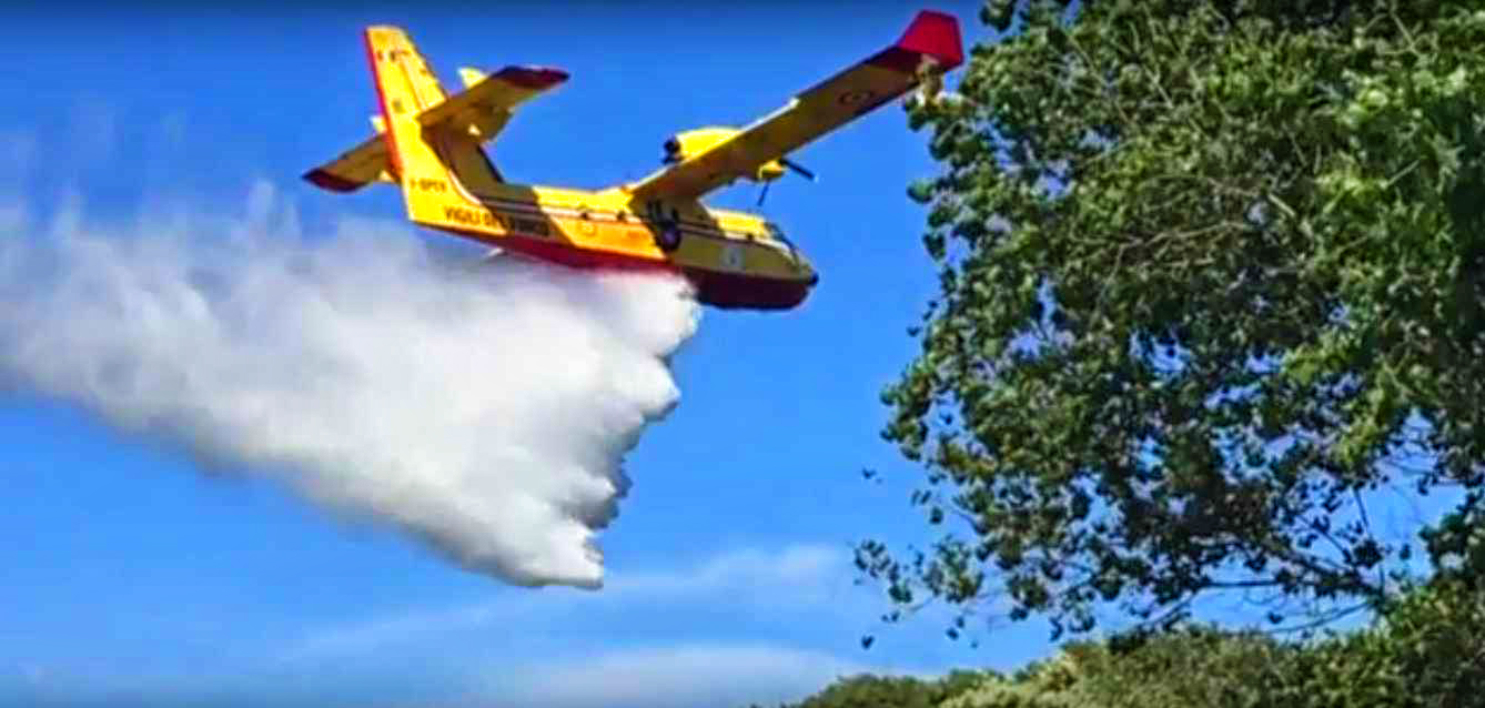 Incendio nella pineta di Castelfusano di Ostia